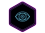 Icone vision