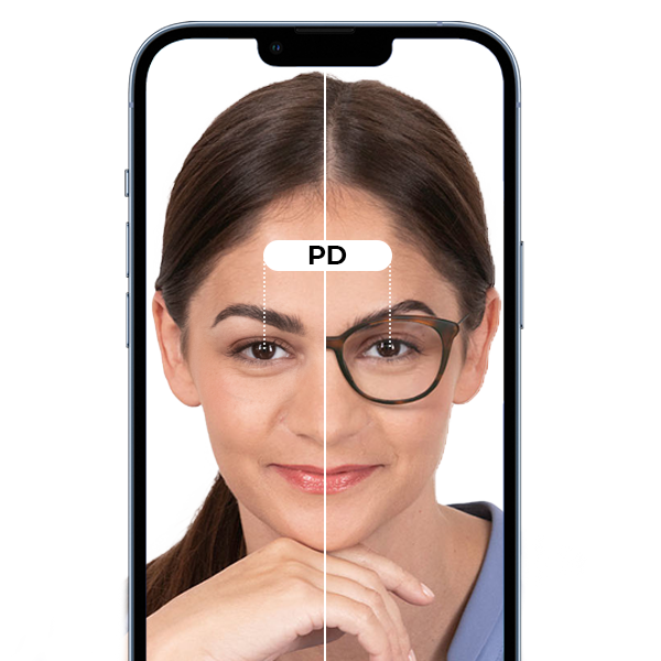 Online PD Measurement - CTA